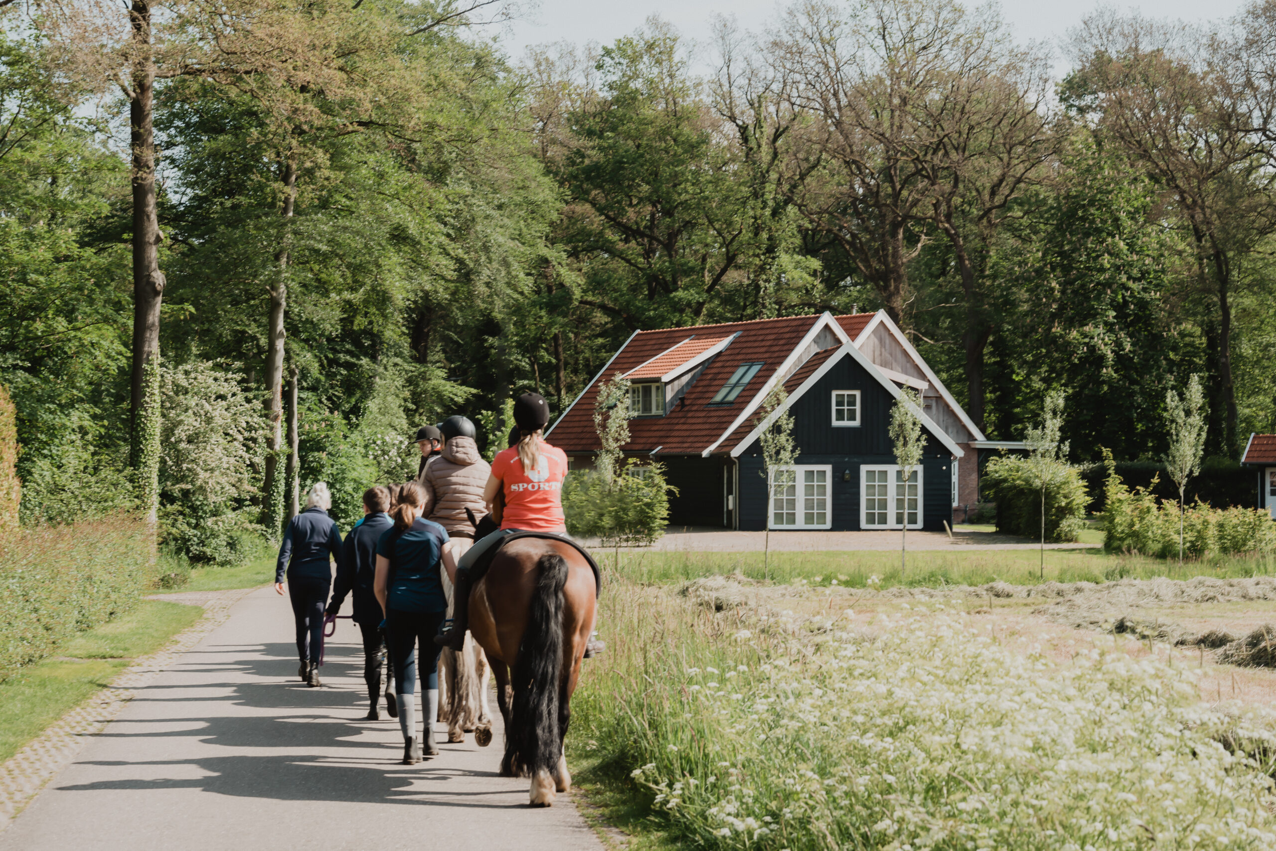 Foto buitenrit